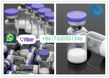 Serbuk Putih Bentuk Ace 031 Peptide, 2 / 5mg * 10 vials Binaraga Hormon
